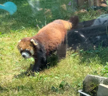天王寺動物園に投稿された画像（2022/5/22）
