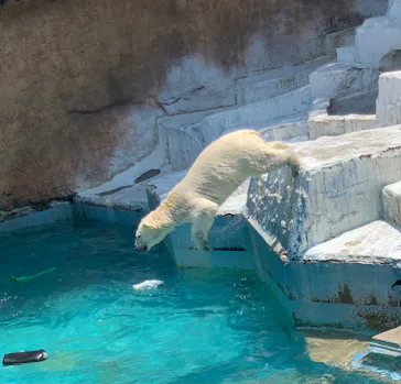 天王寺動物園に投稿された画像（2022/5/22）