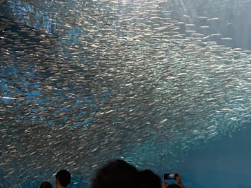 名古屋港水族館に投稿された画像（2022/5/22）