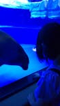 サンシャイン水族館に投稿された画像（2022/5/22）