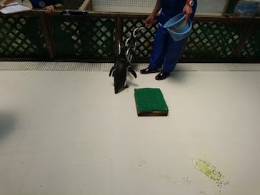 株式会社Gに投稿された画像（2022/5/22）