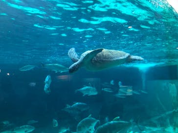 株式会社Gに投稿された画像（2022/5/22）