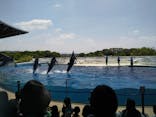 京都水族館に投稿された画像（2022/5/22）