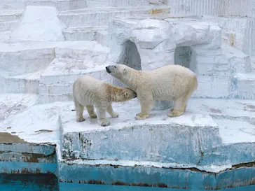 天王寺動物園に投稿された画像（2022/5/22）