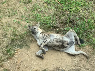 天王寺動物園に投稿された画像（2022/5/22）