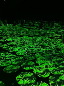 森ビル デジタルアート ミュージアム：エプソン チームラボボーダレスに投稿された画像（2022/5/22）