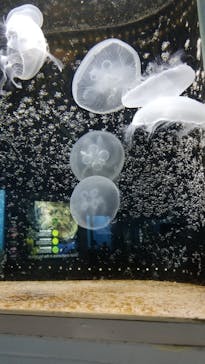 城崎マリンワールドに投稿された画像（2022/5/22）