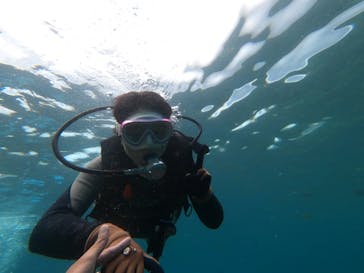 DIVING-SHOP SUNSに投稿された画像（2022/5/22）