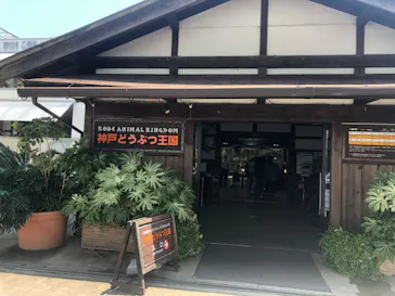 神戸どうぶつ王国に投稿された画像（2022/5/22）