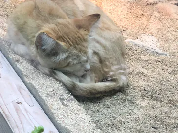 神戸どうぶつ王国に投稿された画像（2022/5/22）