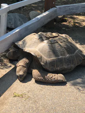 神戸どうぶつ王国に投稿された画像（2022/5/22）
