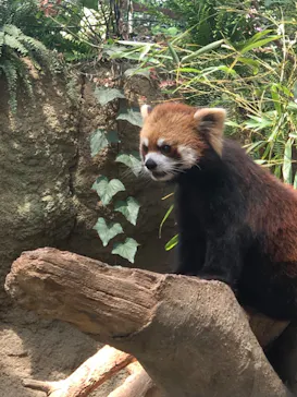 神戸どうぶつ王国に投稿された画像（2022/5/22）