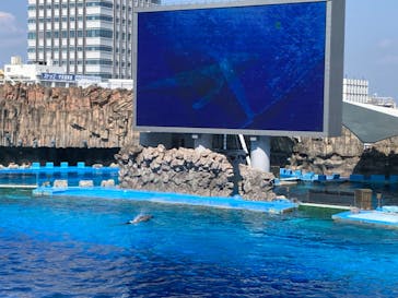 名古屋港水族館に投稿された画像（2022/5/22）