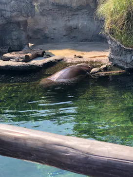 天王寺動物園に投稿された画像（2022/5/22）