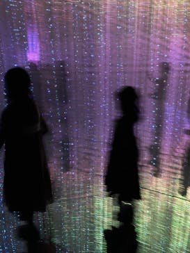 森ビル デジタルアート ミュージアム：エプソン チームラボボーダレスに投稿された画像（2022/5/22）