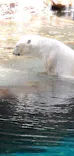 よこはま動物園ズーラシアに投稿された画像（2022/5/22）