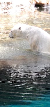 よこはま動物園ズーラシアに投稿された画像（2022/5/22）