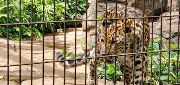 よこはま動物園ズーラシアに投稿された画像（2022/5/22）
