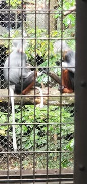 よこはま動物園ズーラシアに投稿された画像（2022/5/22）