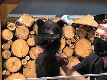 奥飛騨クマ牧場に投稿された画像（2022/5/22）