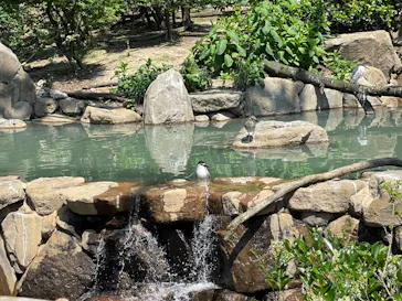 天王寺動物園に投稿された画像（2022/5/22）