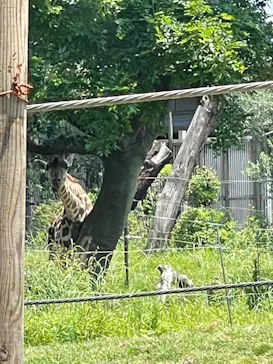 天王寺動物園に投稿された画像（2022/5/22）