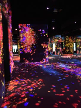 森ビル デジタルアート ミュージアム：エプソン チームラボボーダレスに投稿された画像（2022/5/22）