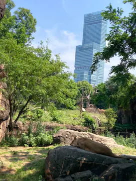 天王寺動物園に投稿された画像（2022/5/22）