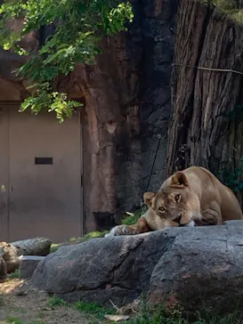 天王寺動物園に投稿された画像（2022/5/22）
