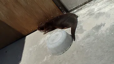 横浜・八景島シーパラダイスに投稿された画像（2022/5/22）