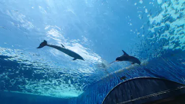 横浜・八景島シーパラダイスに投稿された画像（2022/5/22）