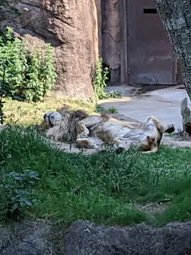 天王寺動物園に投稿された画像（2022/5/22）