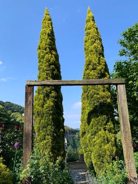 ACAO FORESTに投稿された画像（2022/5/22）