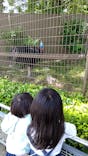 東武動物公園に投稿された画像（2022/5/22）