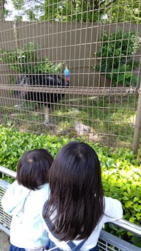 東武動物公園に投稿された画像（2022/5/22）