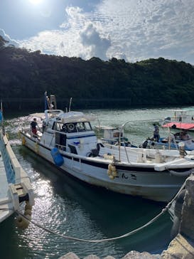 沖縄海うさぎ・海あしびに投稿された画像（2022/5/22）