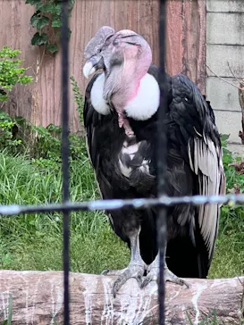 天王寺動物園に投稿された画像（2022/5/22）