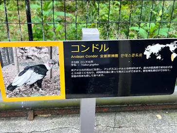 天王寺動物園に投稿された画像（2022/5/22）