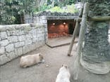 伊豆シャボテン動物公園に投稿された画像（2022/5/22）