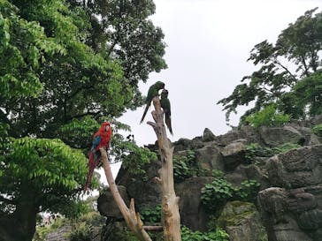 伊豆シャボテン動物公園に投稿された画像（2022/5/22）