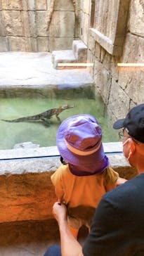 沖縄こどもの国に投稿された画像（2022/5/22）