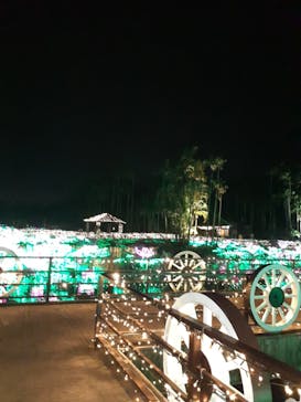 美らヤシパークオキナワ・東南植物楽園に投稿された画像（2022/5/22）