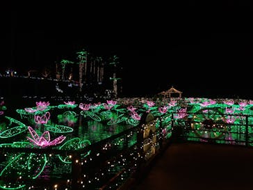 美らヤシパークオキナワ・東南植物楽園に投稿された画像（2022/5/22）