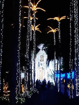 美らヤシパークオキナワ・東南植物楽園に投稿された画像（2022/5/22）