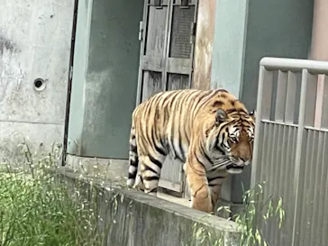 天王寺動物園に投稿された画像（2022/5/22）