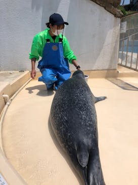 越前松島水族館に投稿された画像（2022/5/22）