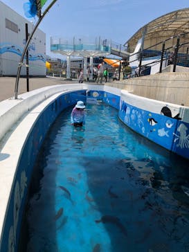 越前松島水族館に投稿された画像（2022/5/22）