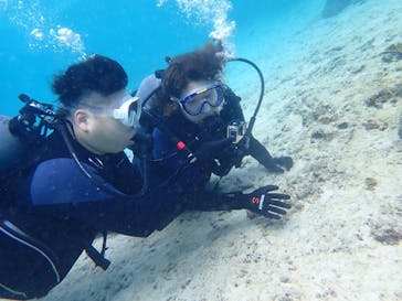 marine assist DEMI（マリンアシストデミ）に投稿された画像（2022/5/22）