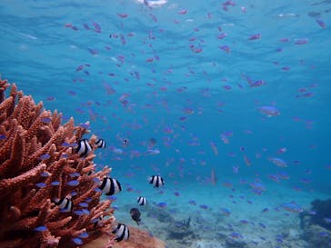 marine assist DEMI（マリンアシストデミ）に投稿された画像（2022/5/22）