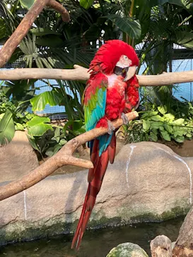 神戸どうぶつ王国に投稿された画像（2022/5/22）